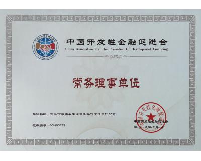 中國開發性金融促進會常務理事